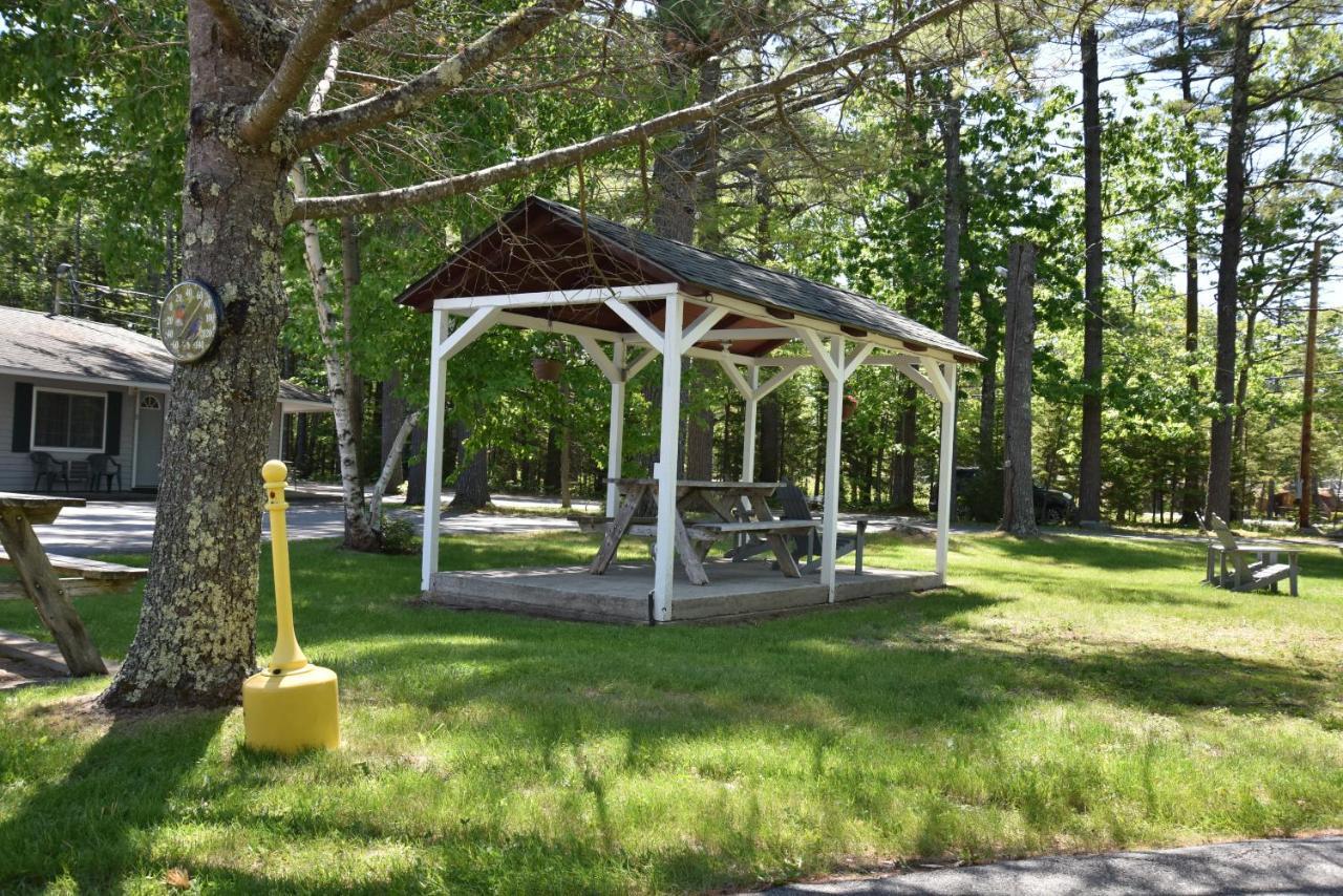 Acadia Pines Motel Bar Harbor Esterno foto